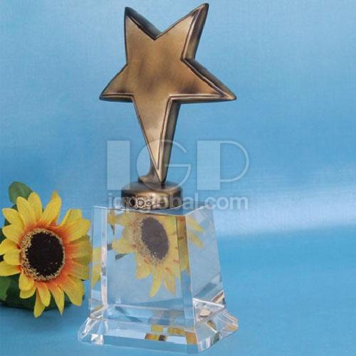 IGP(Innovative Gift & Premium) | Crystal Trophy
