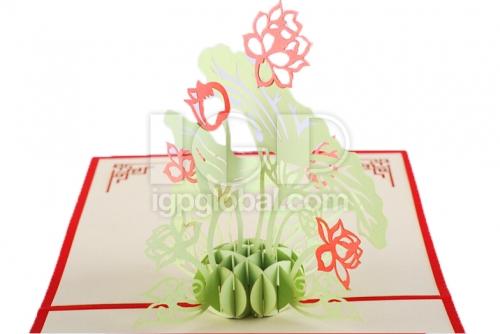 IGP(Innovative Gift & Premium) | 3D Plant Greeting Card