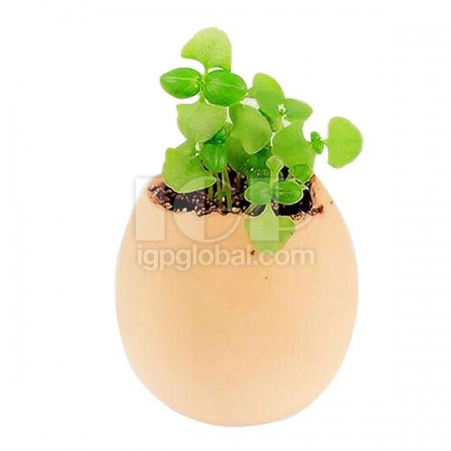 IGP(Innovative Gift & Premium) | Egg Hatches Plant