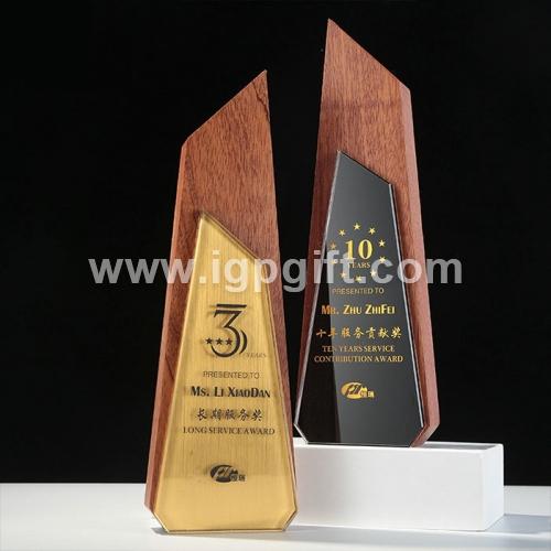 IGP(Innovative Gift & Premium) | Simple irregular solid wood trophy