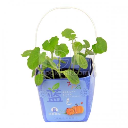 IGP(Innovative Gift & Premium) | Sealing Portable Basket Potted