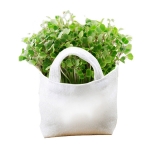 Portable Bag Potted