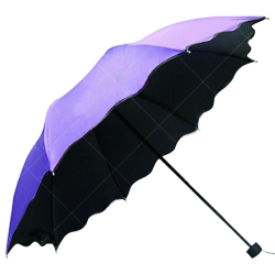 Creative Border Foldable Umbrella