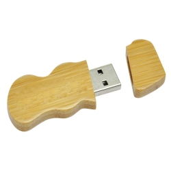 环保竹USB储存器