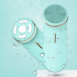 EMS cleansing instrument