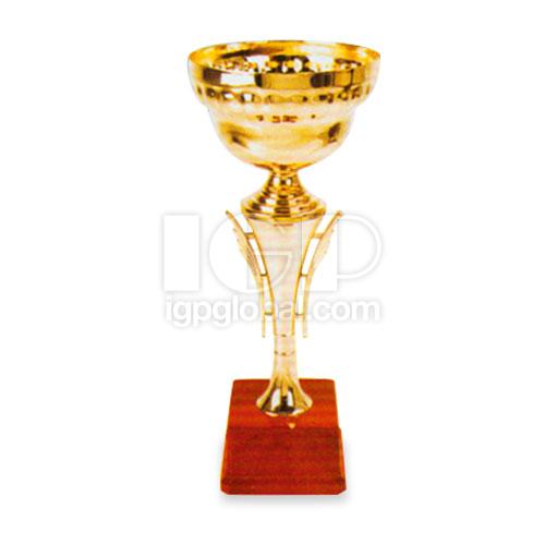 IGP(Innovative Gift & Premium) | Competition Metal Trophy