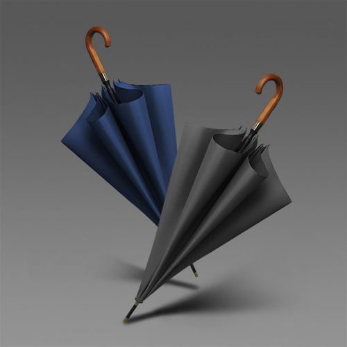 IGP(Innovative Gift & Premium) | Premium Wooden Handle Umbrella