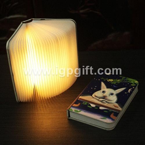 IGP(Innovative Gift & Premium) | Empaistic rabbit book light