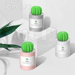 仙人球加濕器