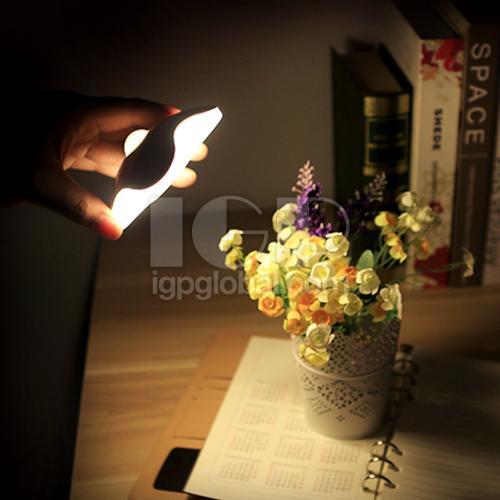 Lucky Clover  Induction Lamp